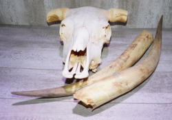 306-3