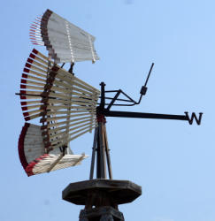 117C-2