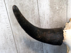 98-3