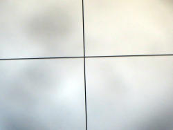 241-9