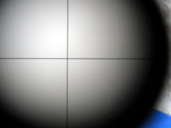244-8