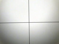 251-6