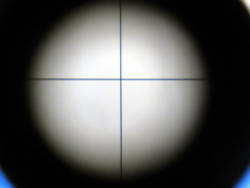 301-8