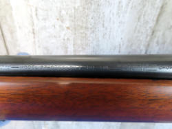 309-6