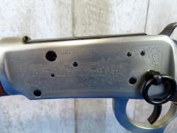 556-8