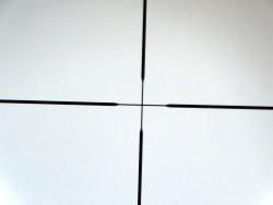 731-6
