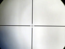 295-8