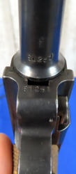 113-8