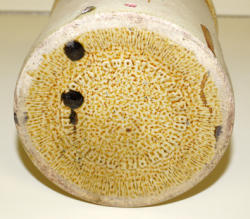 595-6