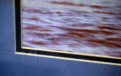 495-3