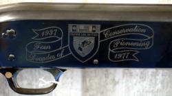 194-6