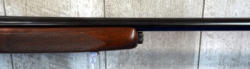 245-4