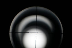 272-11