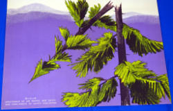 214-3