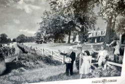 216-6