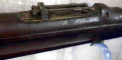 251-6
