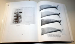 263-3