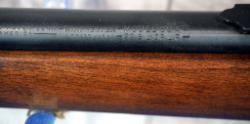 231-9