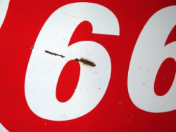 591-6