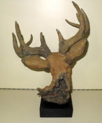 51A-3