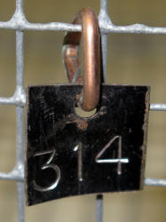 516-5