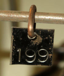 534-3