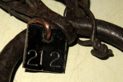 546-4