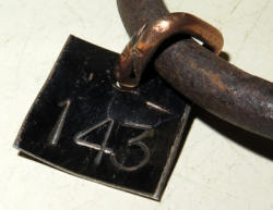 559-4