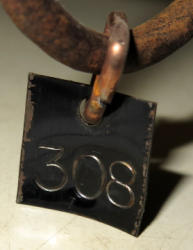 629-3