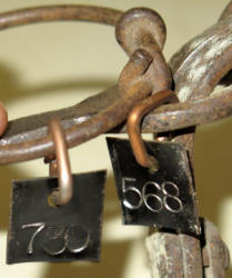 750-5