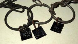 756-5