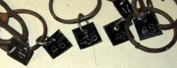 786-8