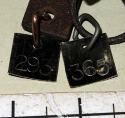 831-3