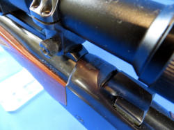 204-5