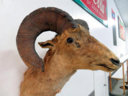 200A-3