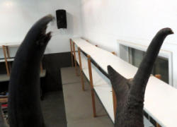 200B-4