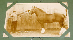 768-13
