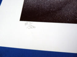 295-2